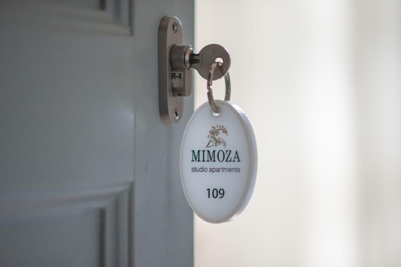 Mimoza Hotel Spetses Town ภายนอก รูปภาพ